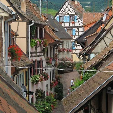 Semesterbostad Au Coeur D'eguisheim *
